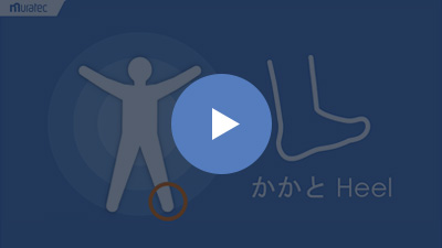 かかとサポータ型センサ
